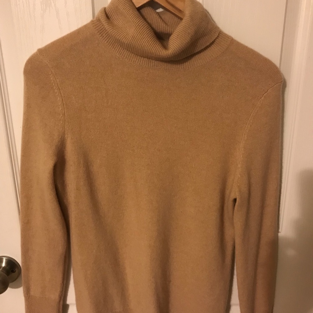 Cashmere Alex Marie turtleneck
